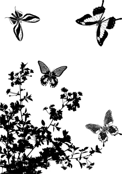 四个黑蝴蝶和樱花 — 图库矢量图片