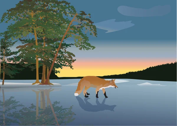 狐狸在结冰的湖图 — 图库矢量图片