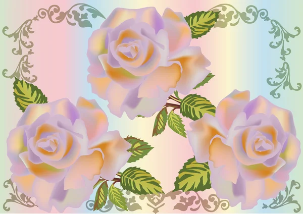 Τρεις όμορφες φωτισμοί ροδαλό λουλούδι — Διανυσματικό Αρχείο