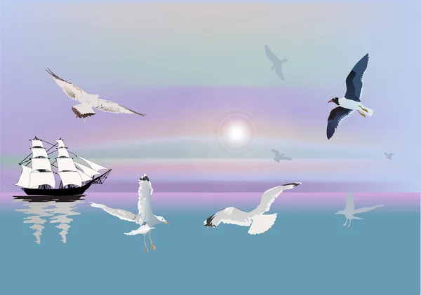 Ship and gulls at sunlight — Stock Vector