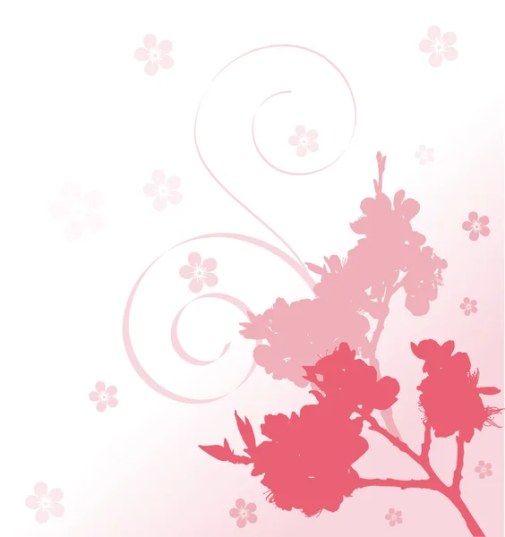 Pink cherry tree branches and flowers — Stock Vector