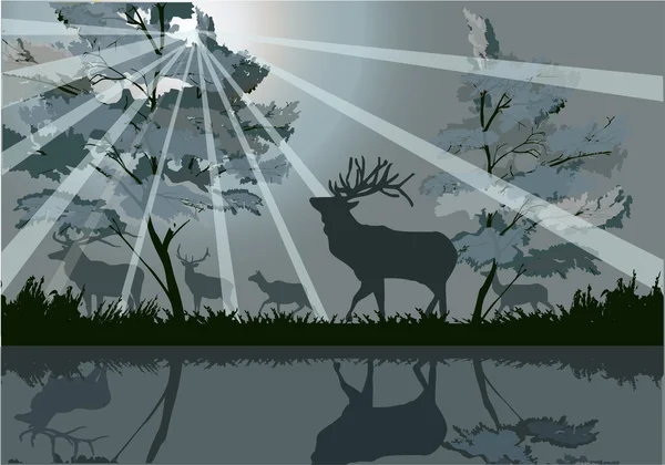 Deer silhouettes near forest river — Stock Vector
