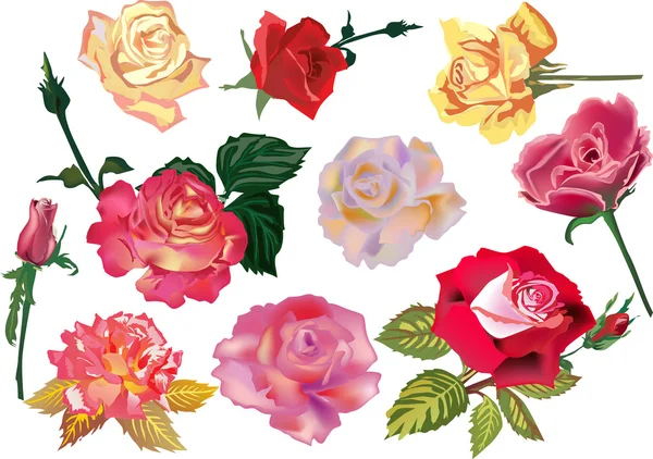 Набір з десяти кольорових троянд — стоковий вектор