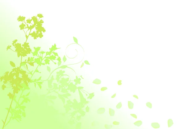 Green sakura with falling petals — Stock Vector