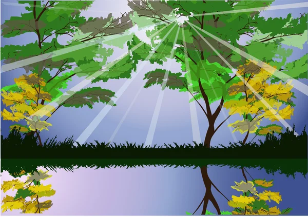 Sunbeams in forest near water — Stock Vector
