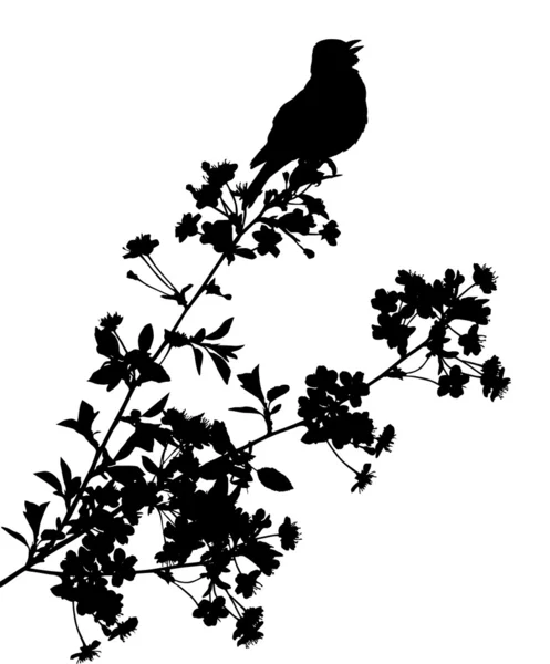 Jediný pták a větve s květinami — Stockový vektor