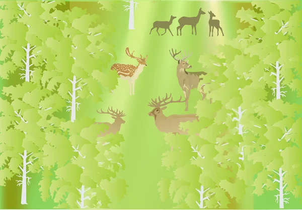 Skupina jelenů v zeleném lese — Stockový vektor
