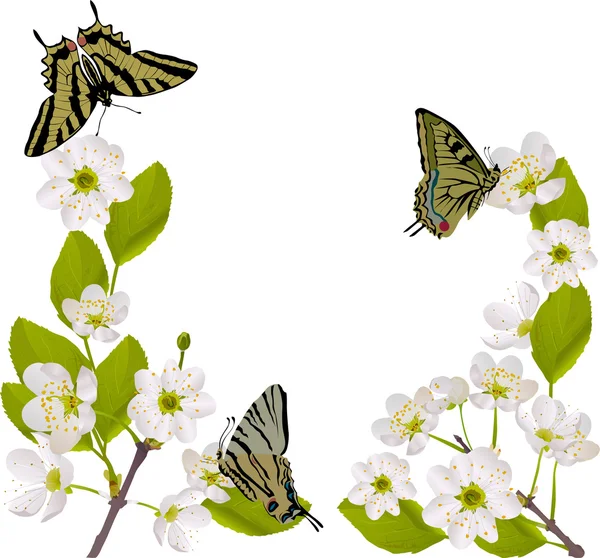 Rama de cerezo con mariposas amarillas — Vector de stock