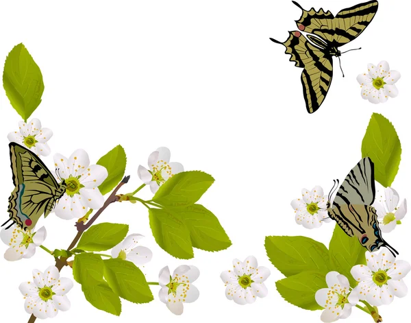 Sakura dalları ile sarı kelebekler — Stok Vektör