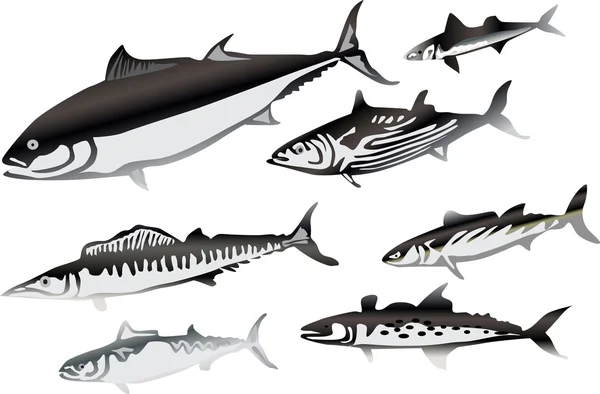 Seven grey fishes collection — Stock Vector