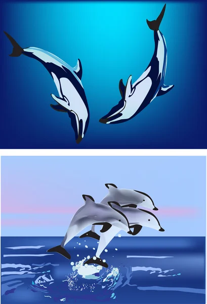 Δύο δελφίνι στη θάλασσα συνθέσεις — Διανυσματικό Αρχείο