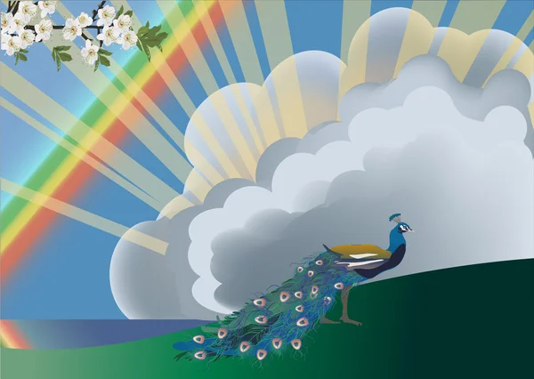 Paon au fond des nuages — Image vectorielle