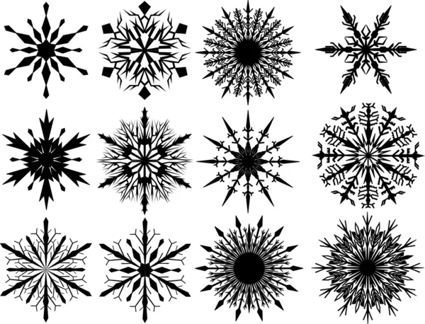 十二个黑色雪花 — 图库矢量图片