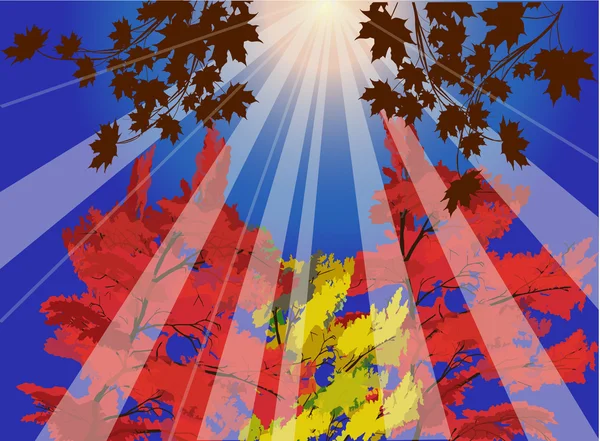 Geel en rood vallen bomen illustratie — Stockvector