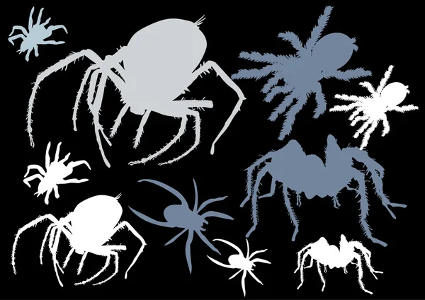 Conjunto de arañas aisladas en negro — Archivo Imágenes Vectoriales