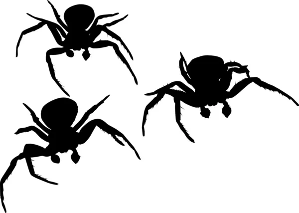 Tre spider silhuetter illustration — Stock vektor