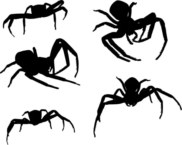 Five spider silhouettes on white — Stock Vector