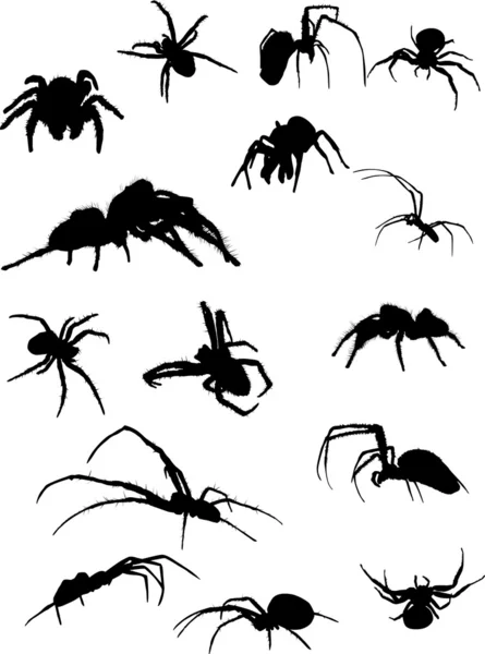 Fünfzehn Spinnensilhouetten — Stockvektor