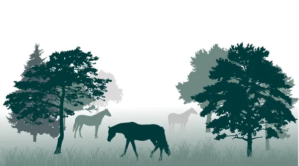 馬の森林図に — ストックベクタ