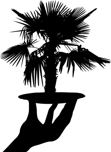 Lidská ruka a palmový strom — Stockový vektor