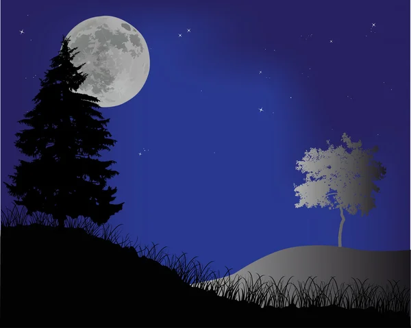Fir silhouette under full moon — Stock Vector