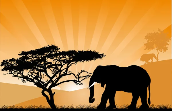 Pôr-do-sol laranja com elefante — Vetor de Stock