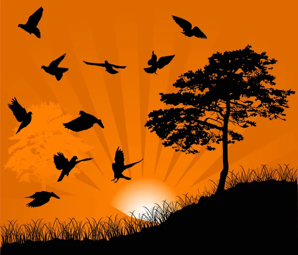 Boom en vogels bij zonsondergang illustratie — Stockvector