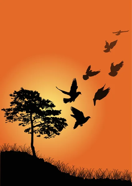 Ptaki w pobliżu drzewa na pomarańczowy zachód słońca — Wektor stockowy