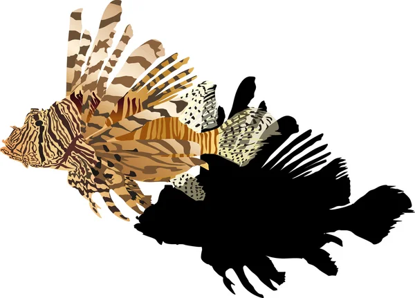 Pescado exótico marrón sobre fondo blanco — Archivo Imágenes Vectoriales