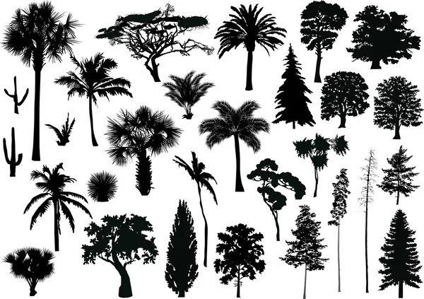Grande serie di alberi neri su bianco — Vettoriale Stock