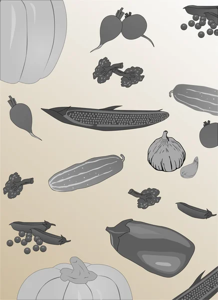 Grau verschiedene Gemüse Hintergrund — Stockvektor