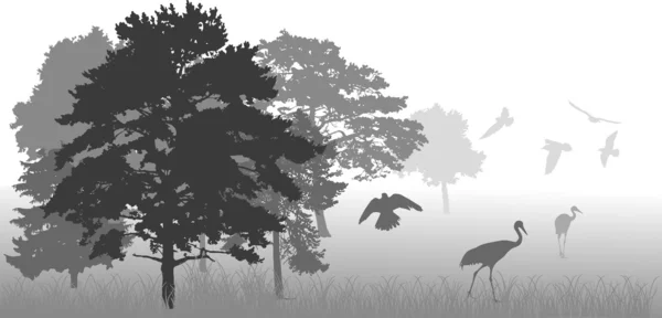 Graue Vögel im Wald — Stockvektor