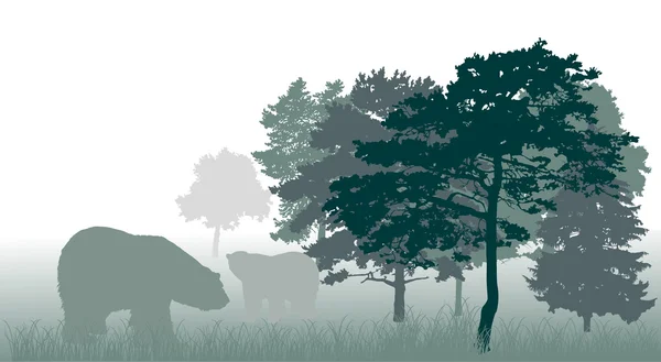 Ilustración con osos en el bosque — Vector de stock