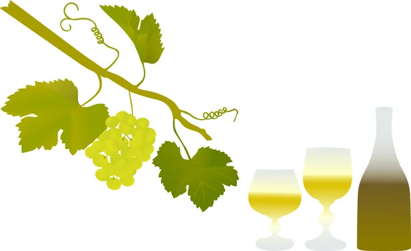 Grüne Trauben und Weinreben — Stockvektor