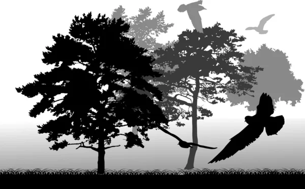 Árboles y aves ilustración gris — Archivo Imágenes Vectoriales