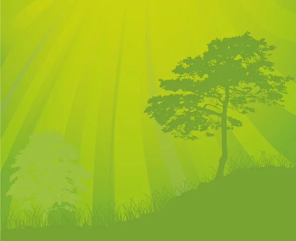 Träd och solen strålar bakgrund — Stock vektor