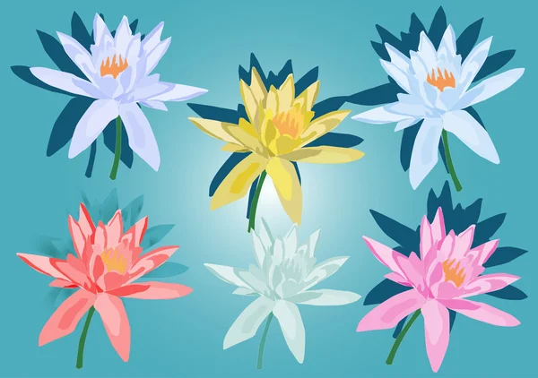 Six lily flowers on blue — Stock Vector