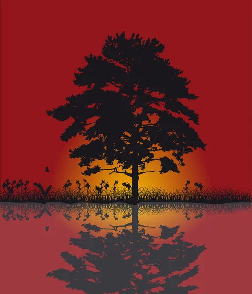 Röd solnedgång och träd reflektion — Stock vektor