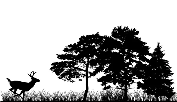 Bäume und Hirschsilhouetten — Stockvektor