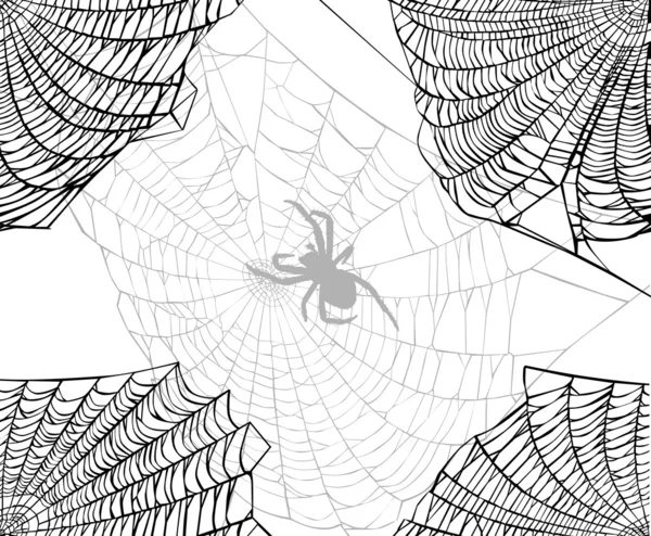 Spider a webové pozadí — Stockový vektor