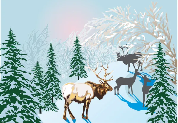 Jeleni v zimním lese — Stockový vektor