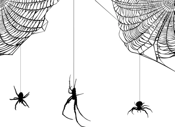 Drei Spinnen in der Web-Illustration — Stockvektor