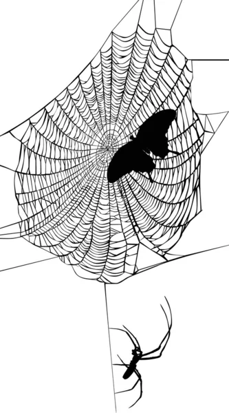 Motyl w sieci pająka — Wektor stockowy