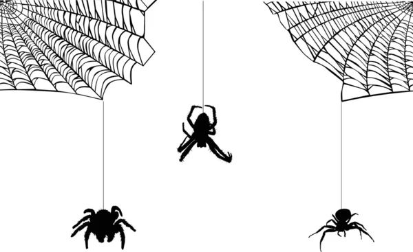 Drie spinnen in web op wit — Stockvector
