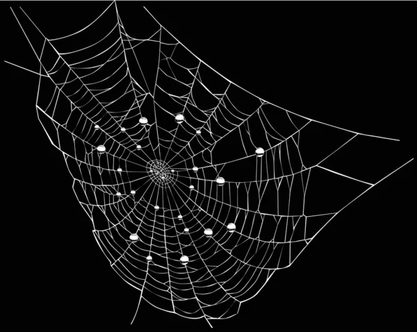 White spider web with drops on black — Stock Vector