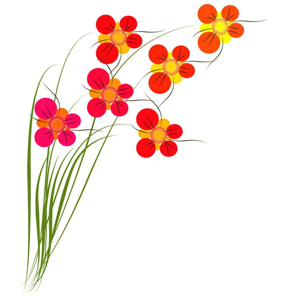 Анотація квіти — стокове фото