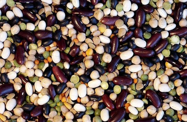 stock image Legumes and cereals