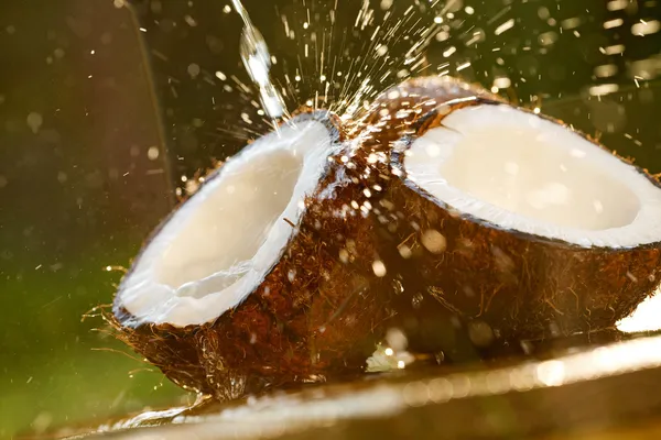 Kokosnuss mit Spritzwasser — Stockfoto