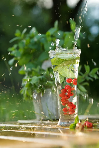 Fresh water with red currant — Stock Photo, Image