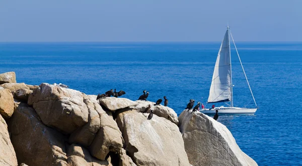 Stock image Coastal